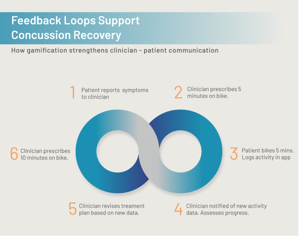 Feedback Loops Support Concussion Recovery
