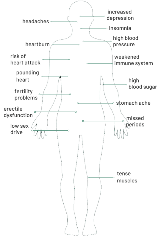 Anatomical Map depicting Impact of Stress on the Body